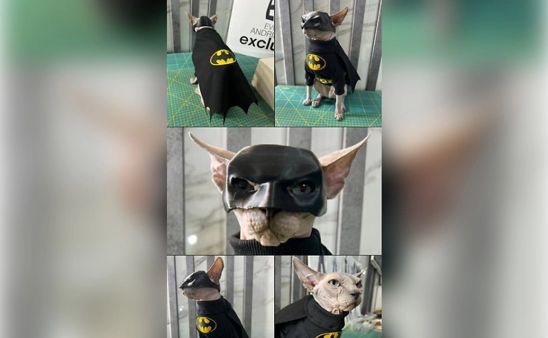 Россияне рассказали, как их питомцы зарабатывают на фотосессиях и новосельях