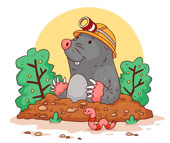 Сетка от кротов (кротовка): эффективное решение для защиты участка